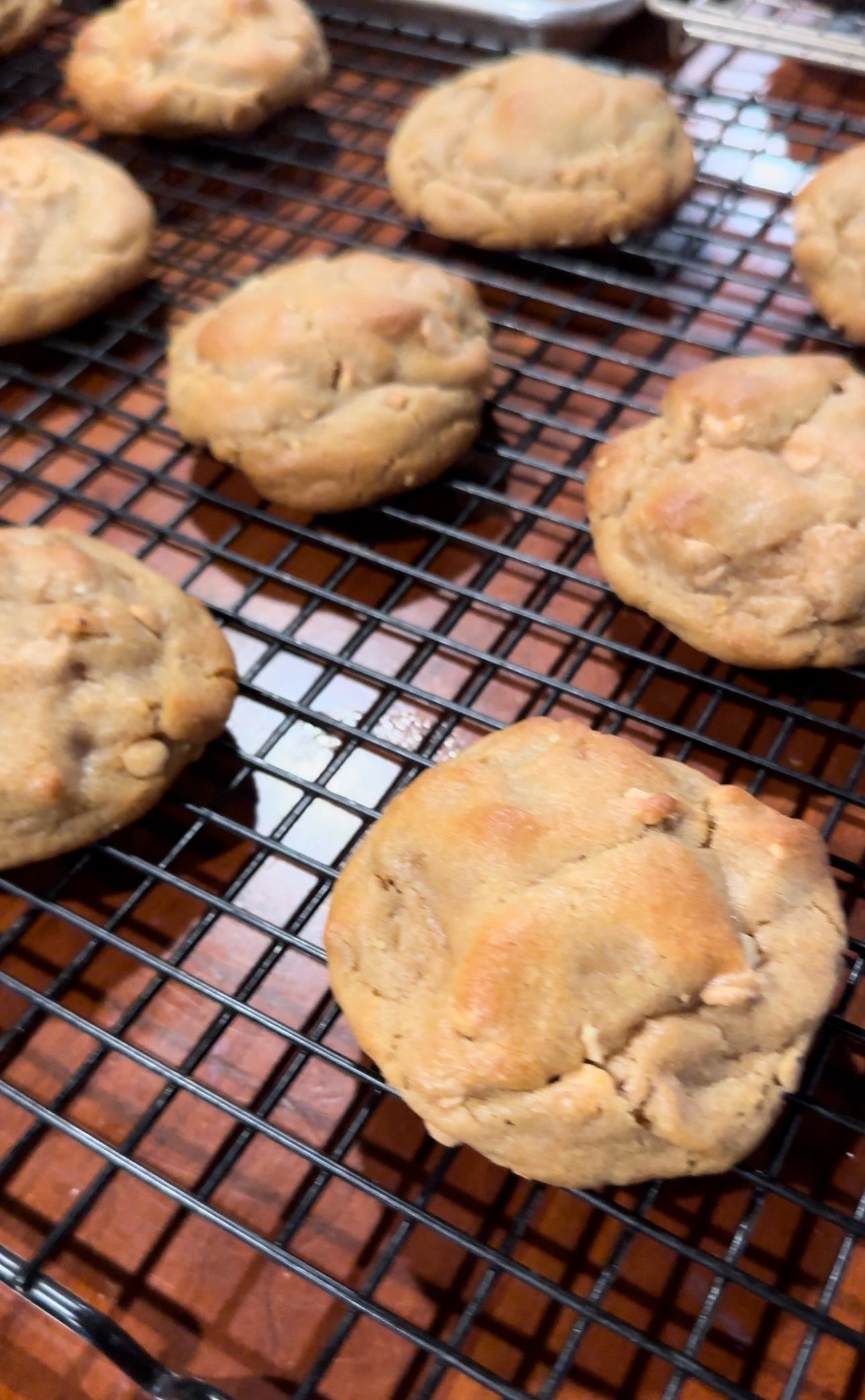Box of 12 (Peanut Butter Cookies)