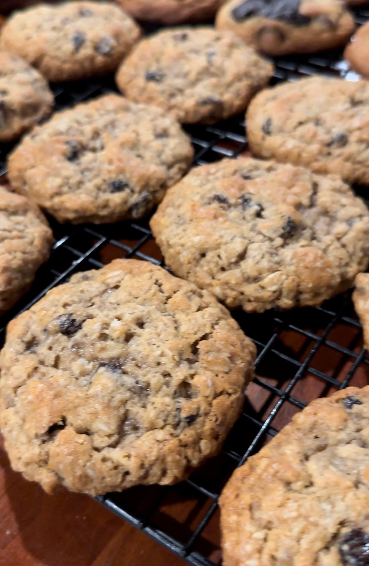 Box of 12 (Oatmeal Raisin Cookies)