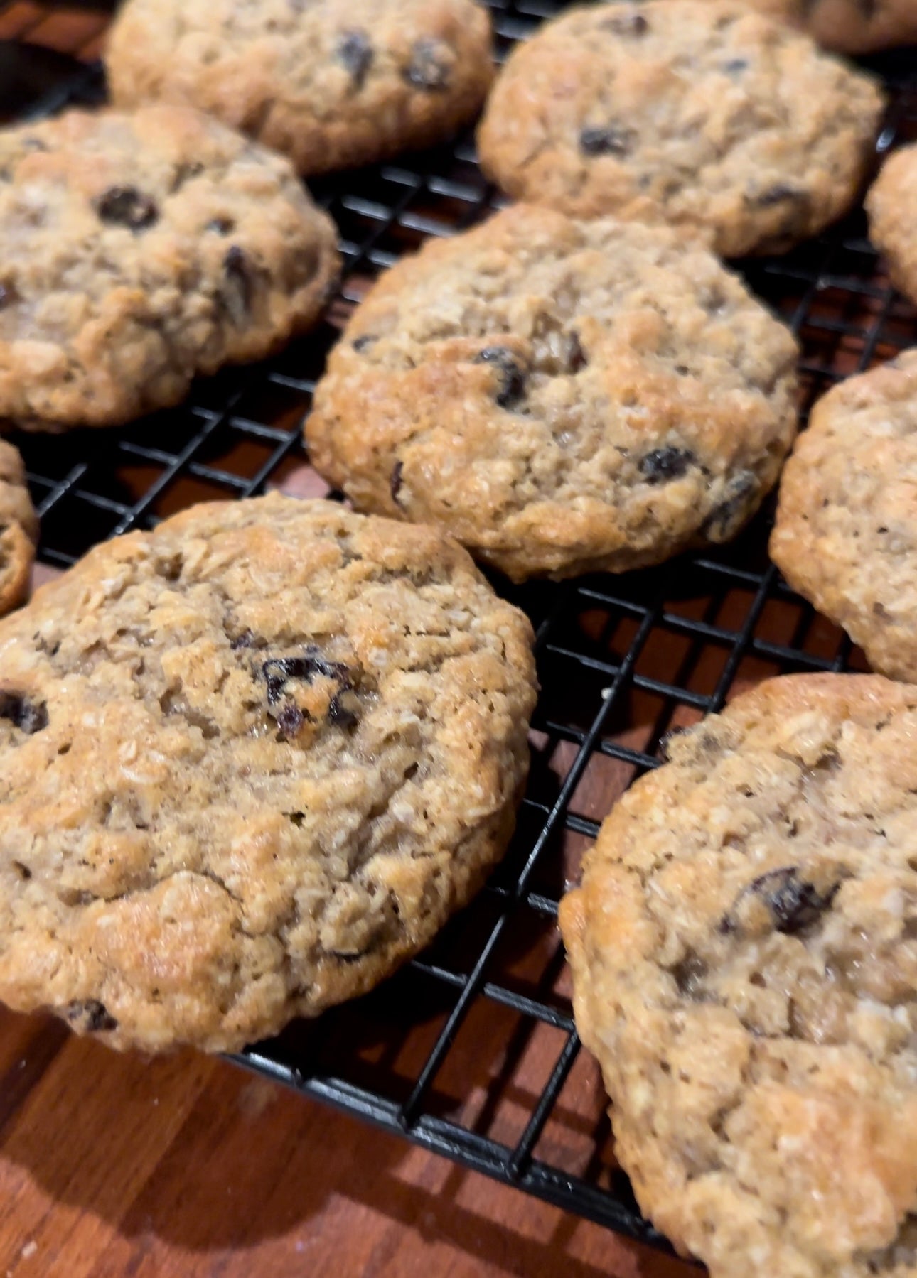 Box of 12 (Oatmeal Raisin)